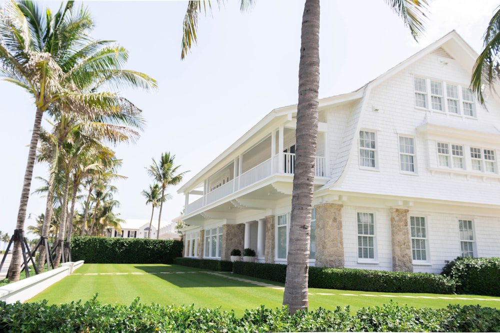 white wooden house near palm trees