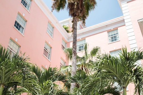 A pastel pink building with multiple windows surrounded by tall palm trees, set against a clear blue sky. The building features white window frames and some decorative trim, providing a tropical and serene atmosphere.