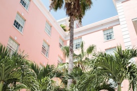 A pastel pink building with multiple windows surrounded by tall palm trees, set against a clear blue sky. The building features white window frames and some decorative trim, providing a tropical and serene atmosphere.