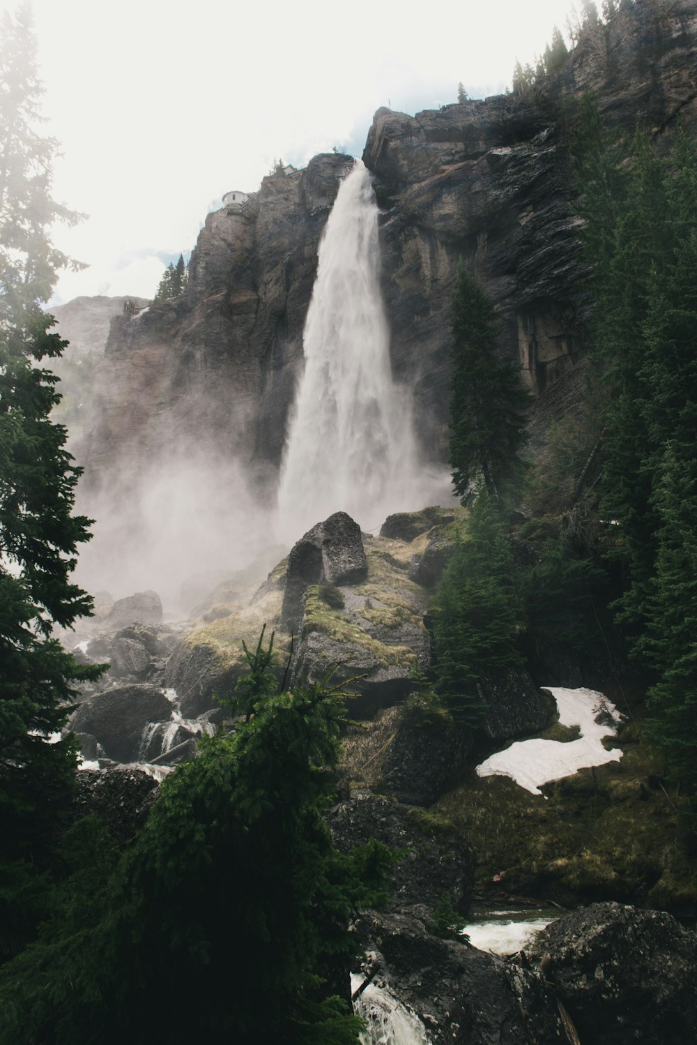 Fotografía de cascadas y pinos durante el día