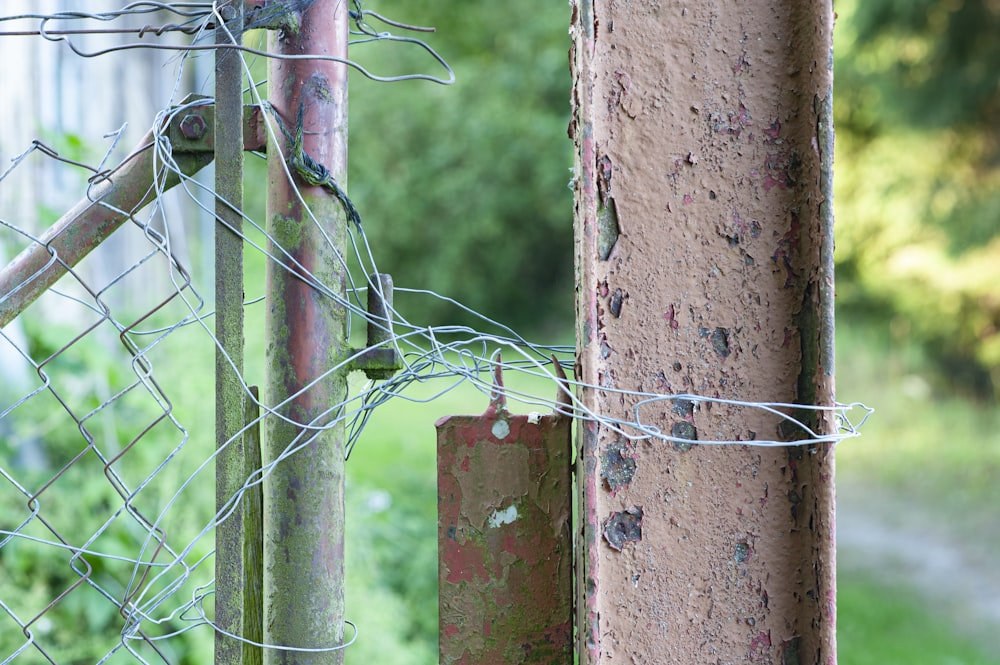 gray metal fence