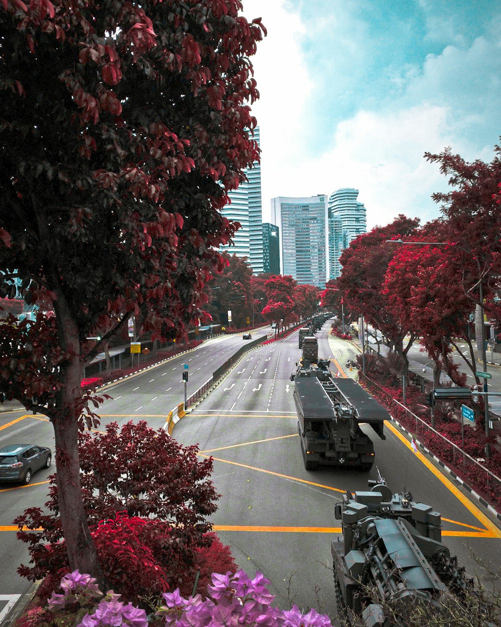 vehicles near trees