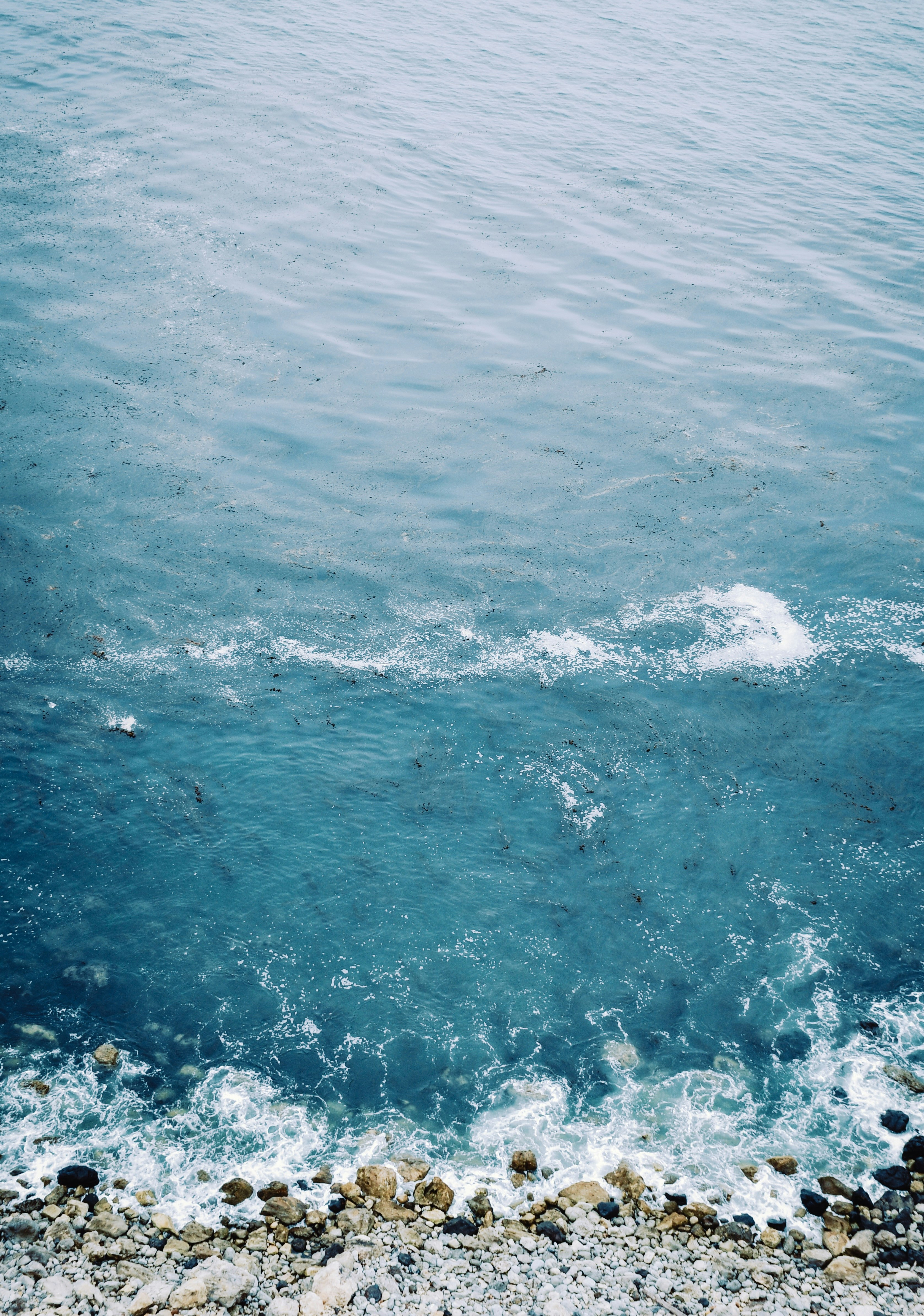 Photo by guss_bedolla