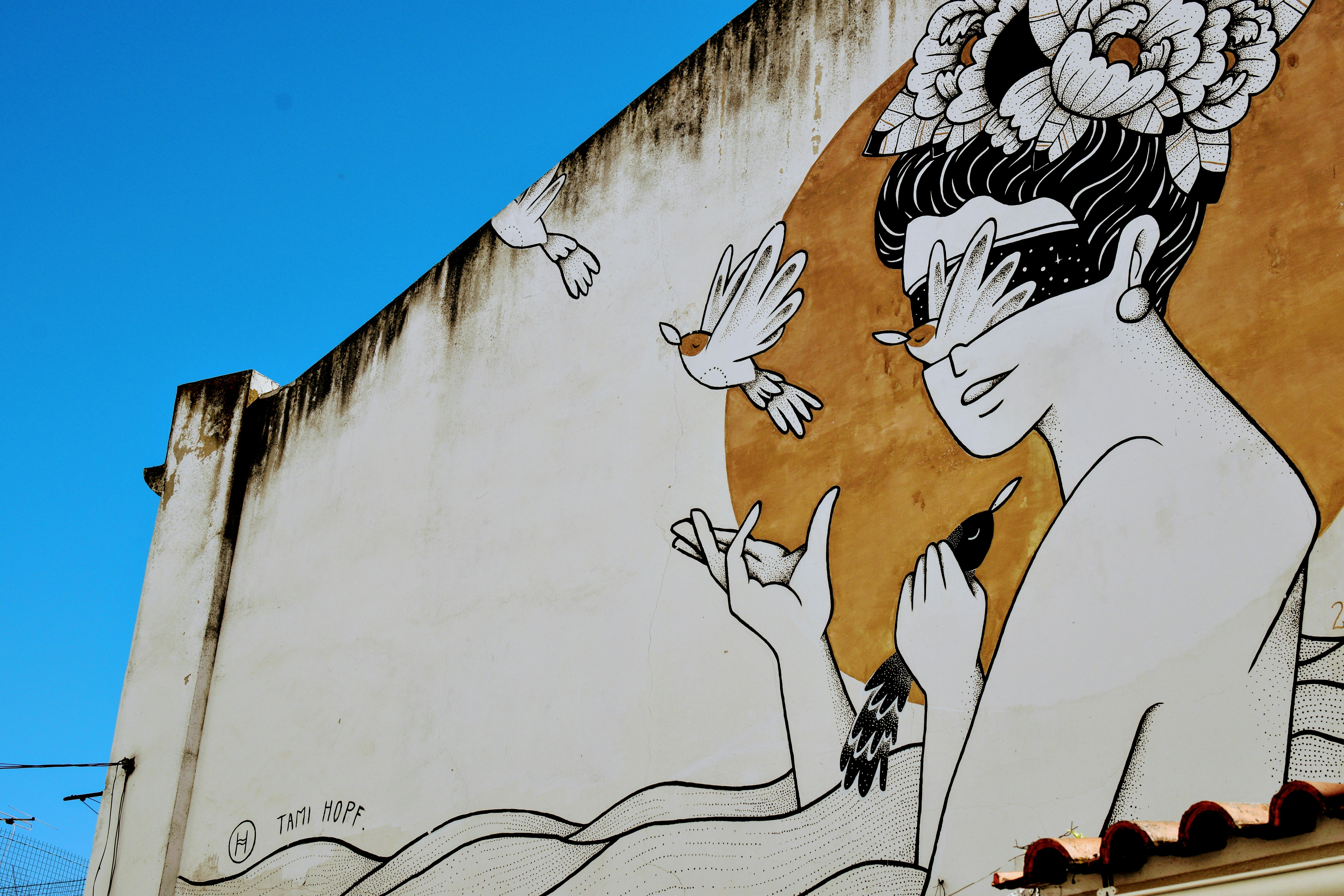 Photo by toasteronyourleft