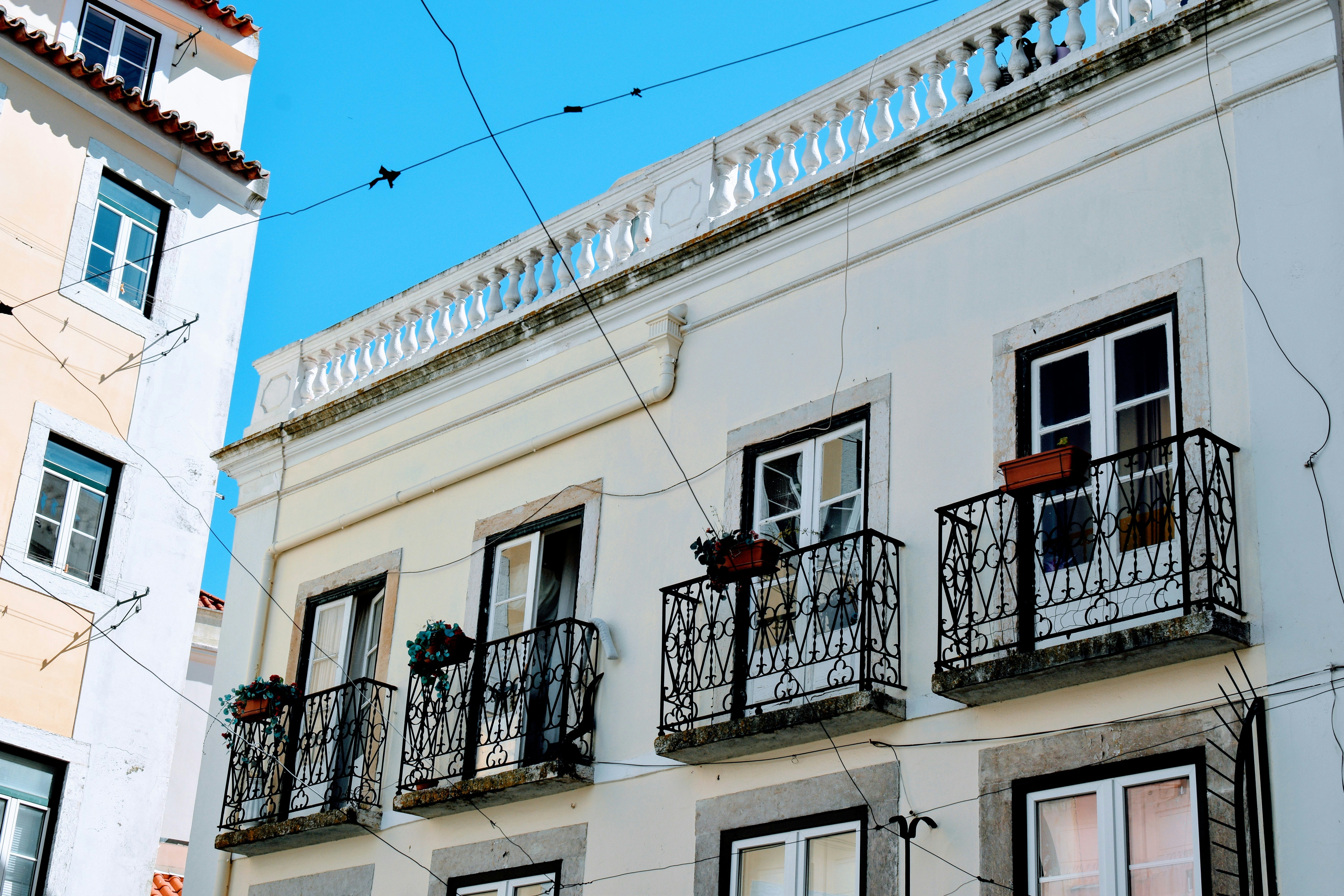 Photo by toasteronyourleft