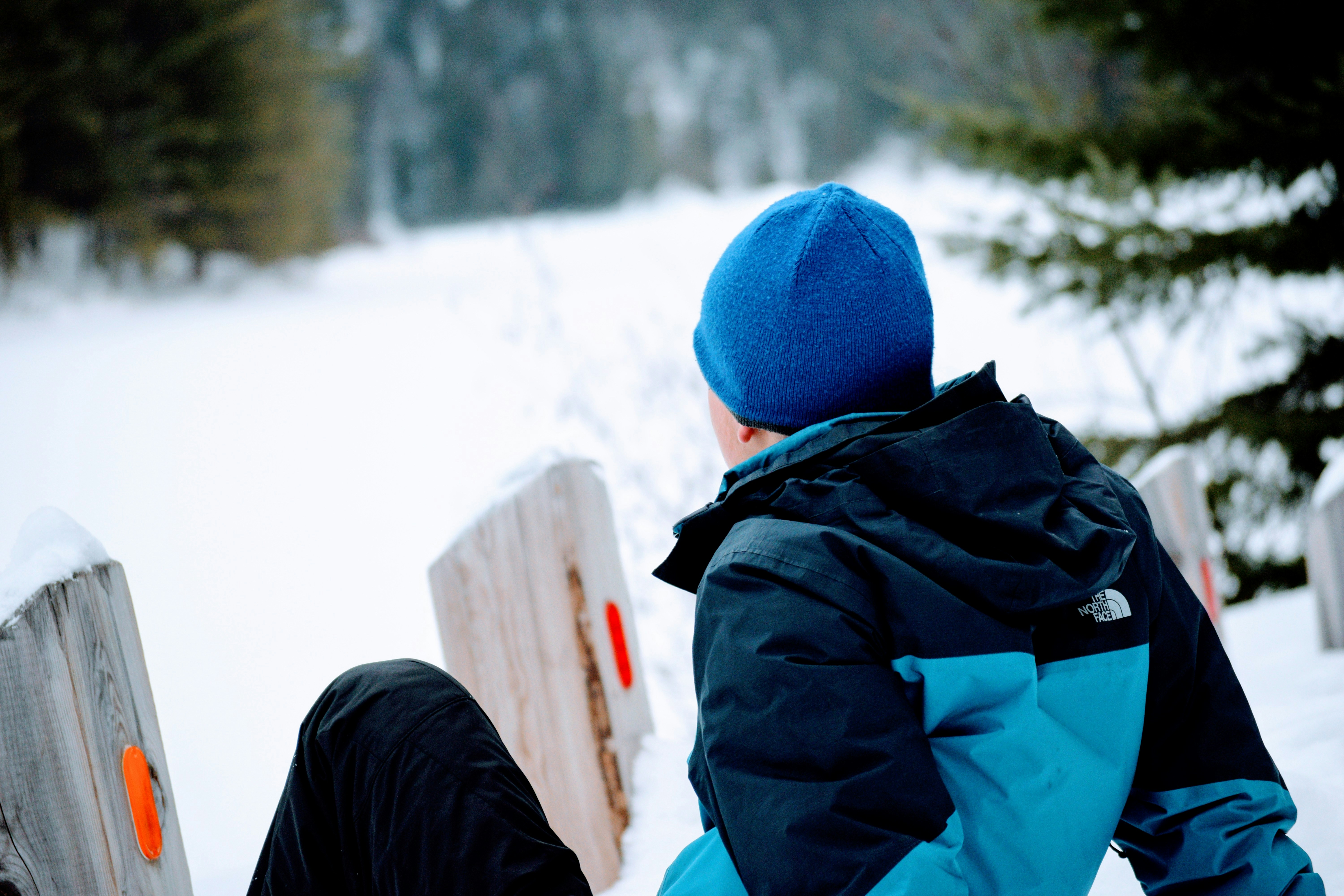 Photo by toasteronyourleft