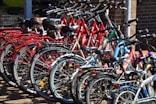 lined red, blue, and black bicycles on display
