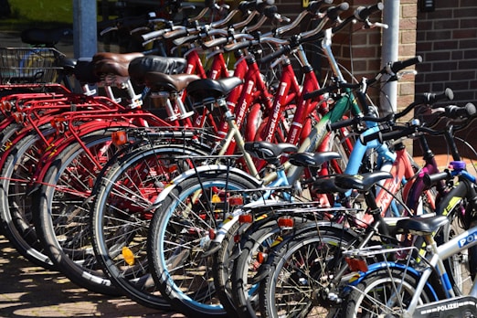 lined red, blue, and black bicycles on display