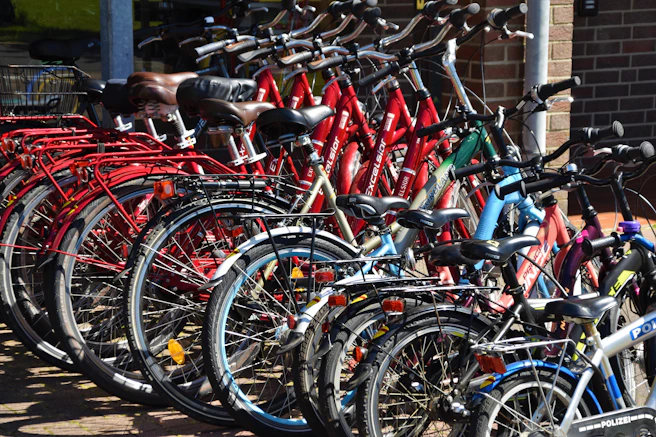 lined red, blue, and black bicycles on display