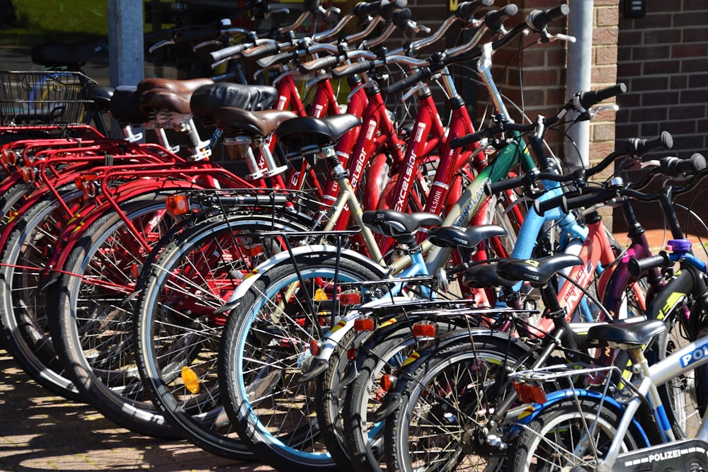 Bicicletas vermelhas, azuis e pretas alinhadas em exposição