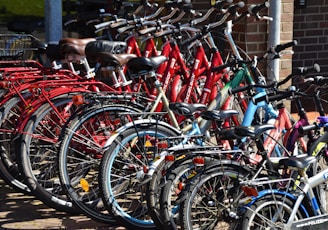 lined red, blue, and black bicycles on display