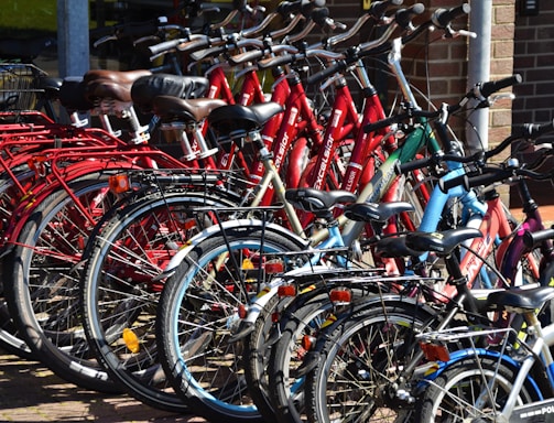 lined red, blue, and black bicycles on display