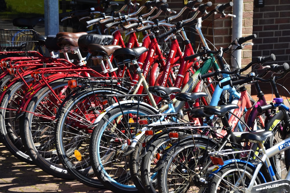 gefütterte rote, blaue und schwarze Fahrräder ausgestellt