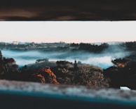 A misty morning view of Chikmagalur's coffee estates with sun rays piercing through the trees.