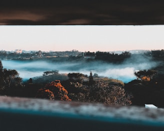 A misty morning view of Chikmagalur's coffee estates with sun rays piercing through the trees.