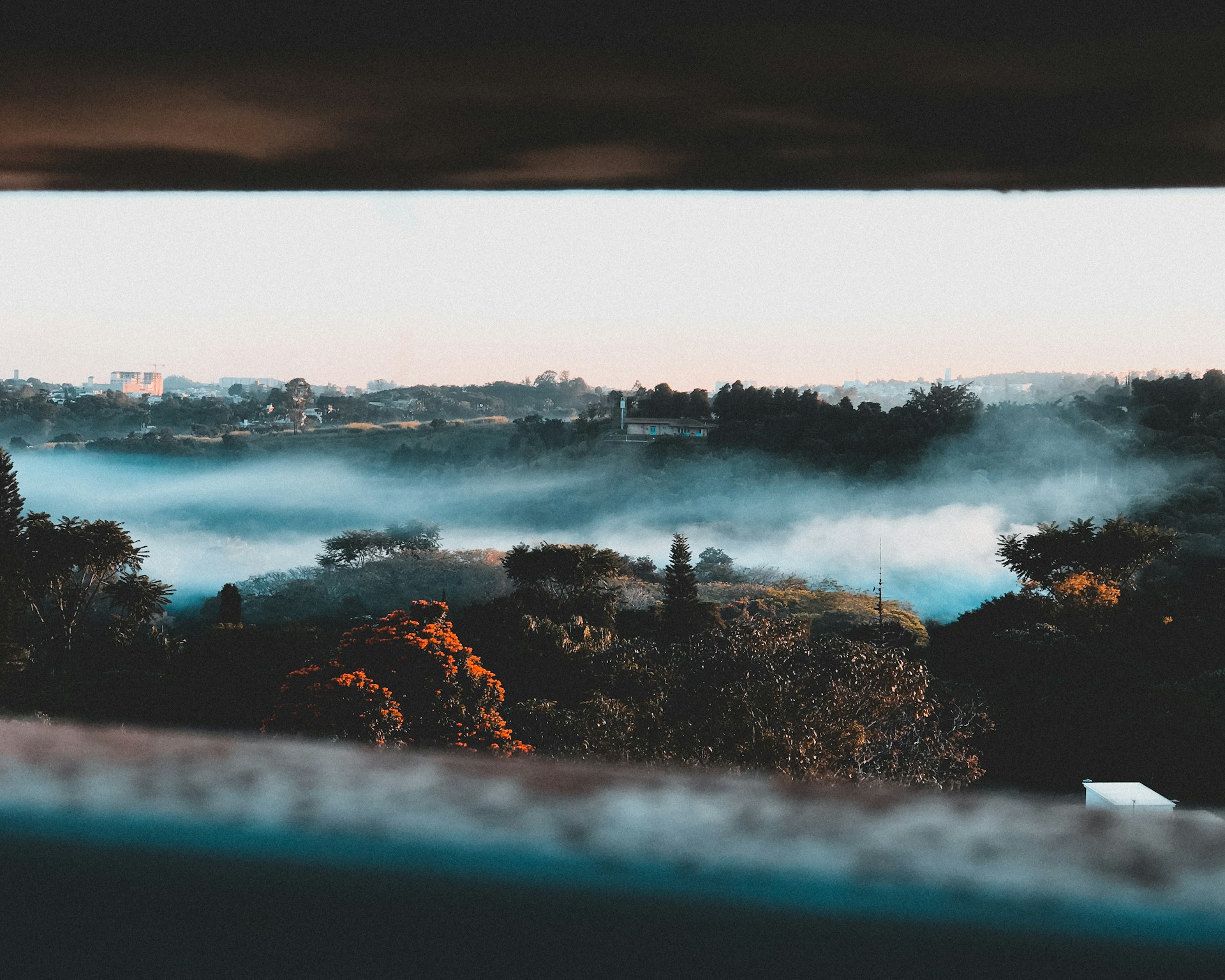 A misty morning view of Ujungkulon National Park with dense tropical forest and a hint of sunlight breaking through the canopy.