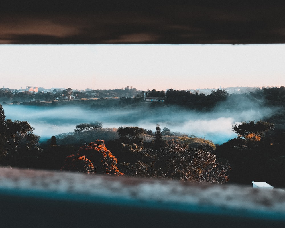 green trees with fog in aerial view photography