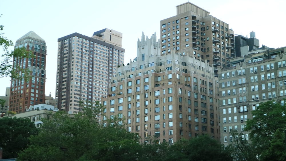 brown high-rise buildings surrounded with tall and green trees