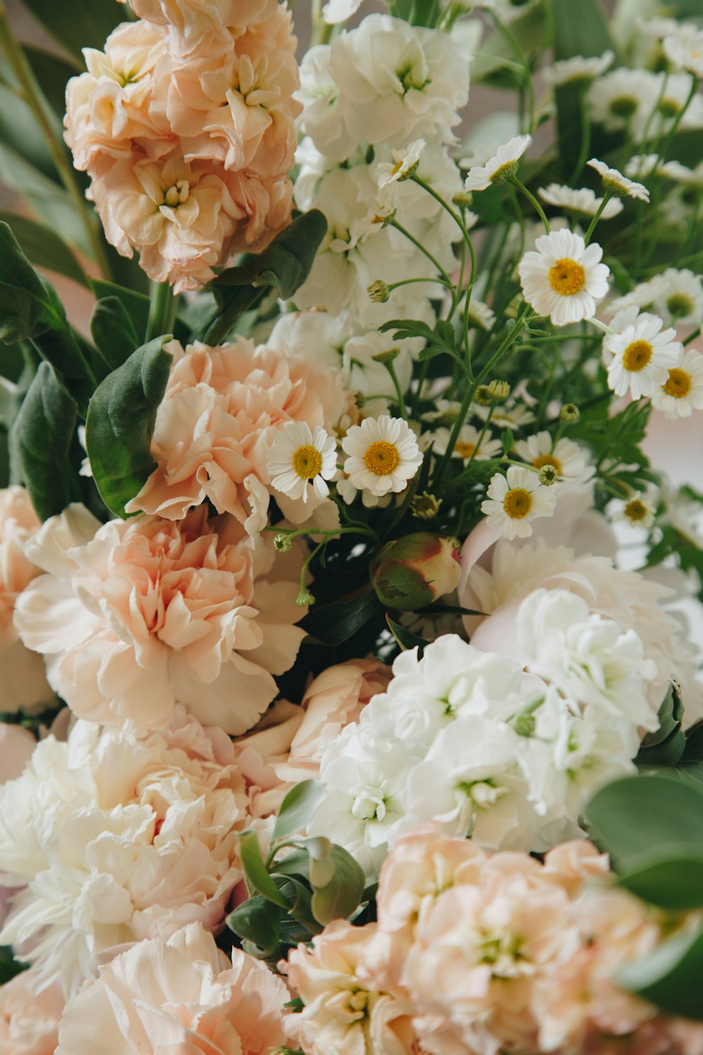 flores brancas e beges