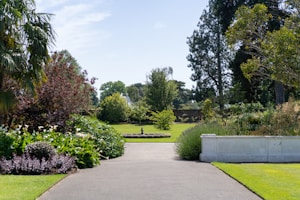road, flowers, and concrete fence