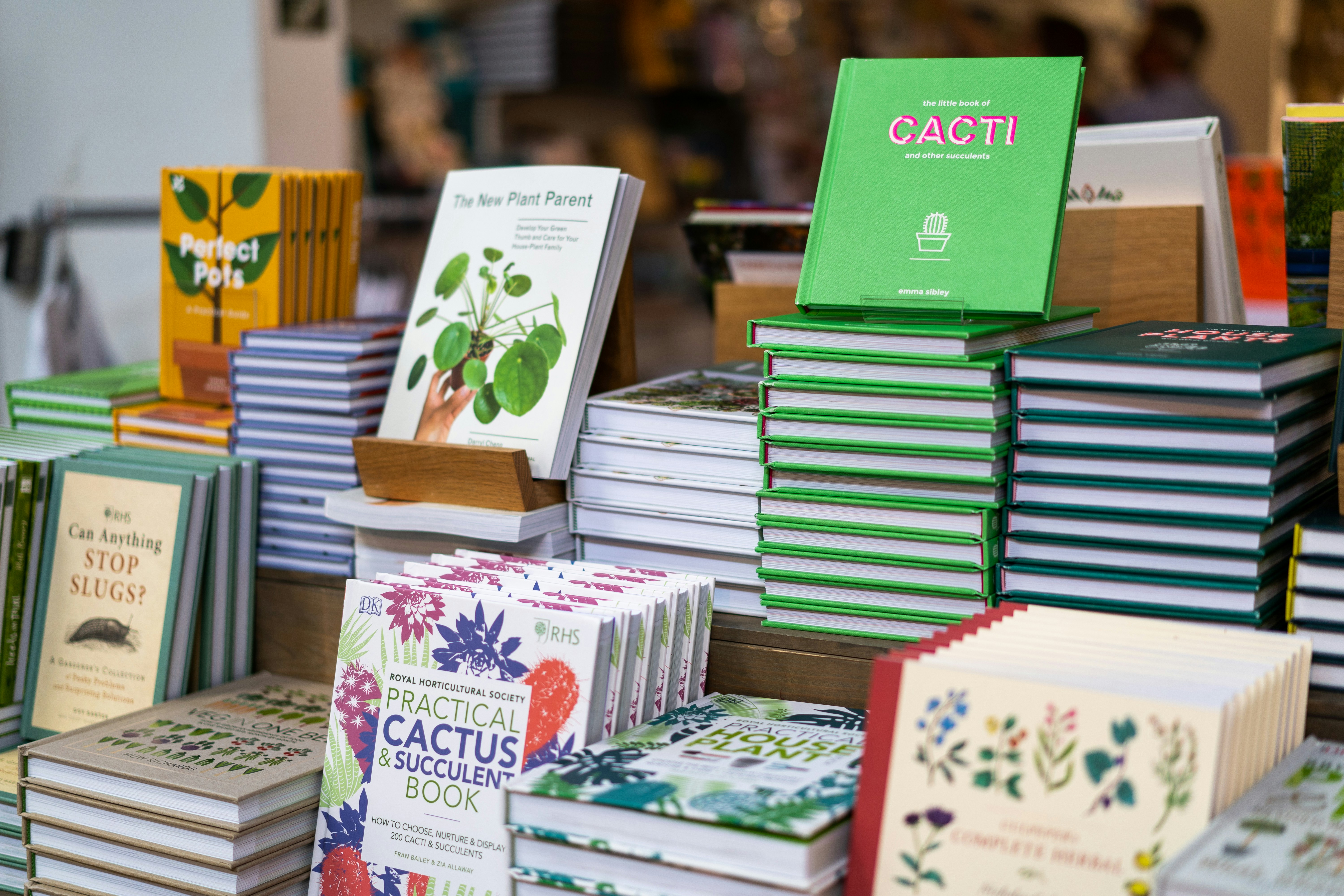 6 Eco-Friendly Book Nook Kits from Sustainable Brands