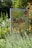 A signboard for the Royal Botanic Gardens Kew is surrounded by lush green foliage and yellow flowers. The sign features an illustration of trees, people, and a caption indicating a new attraction for 2019. It is bright and colorful, set against a backdrop of dense greenery.