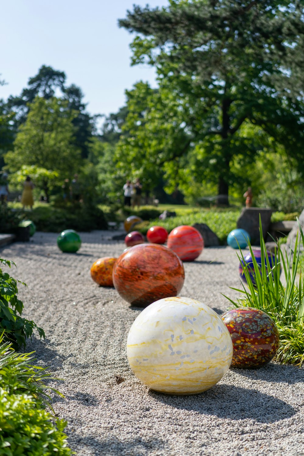 assorted-color balls on grey ground near trees