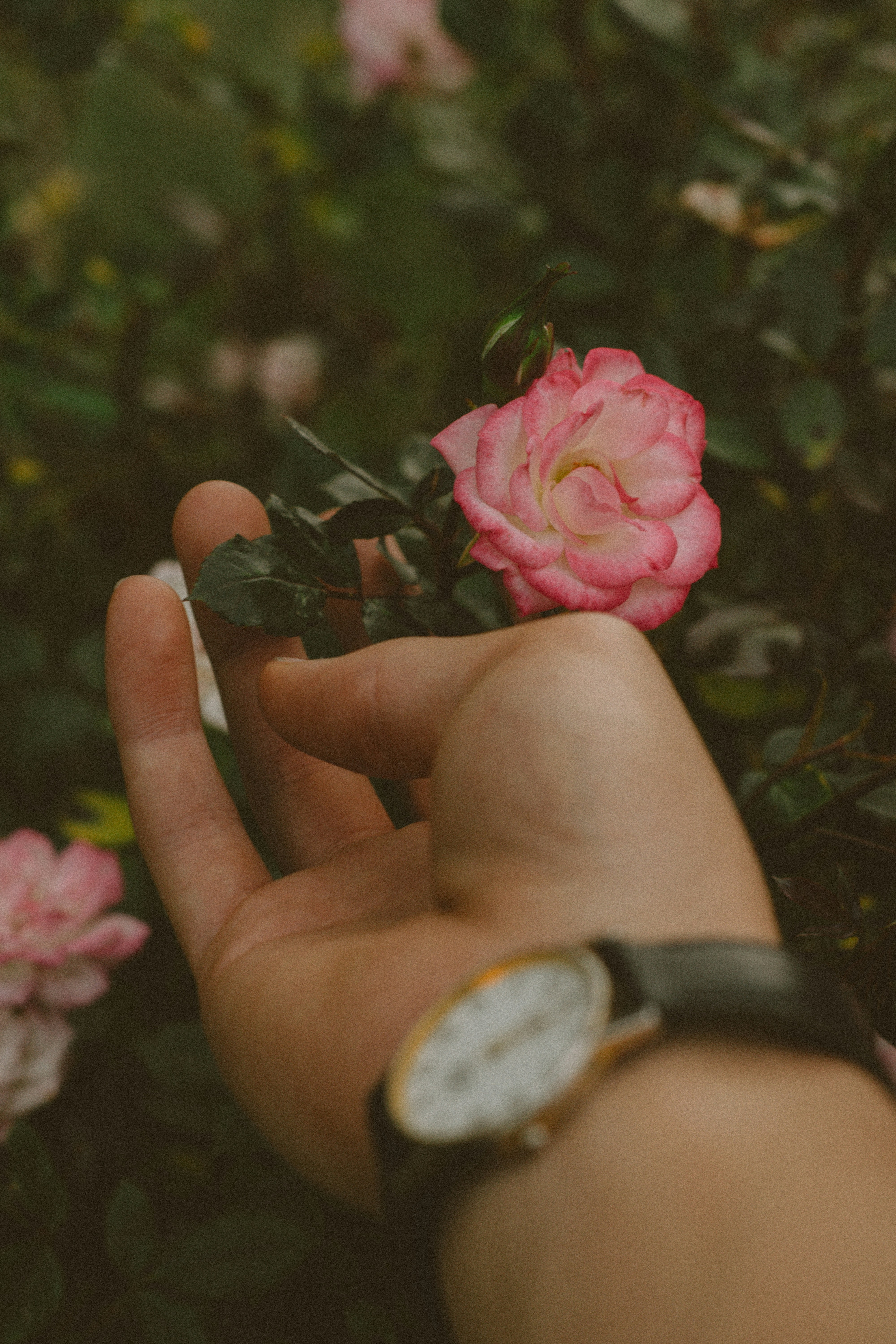 Photo by gasparzaldo