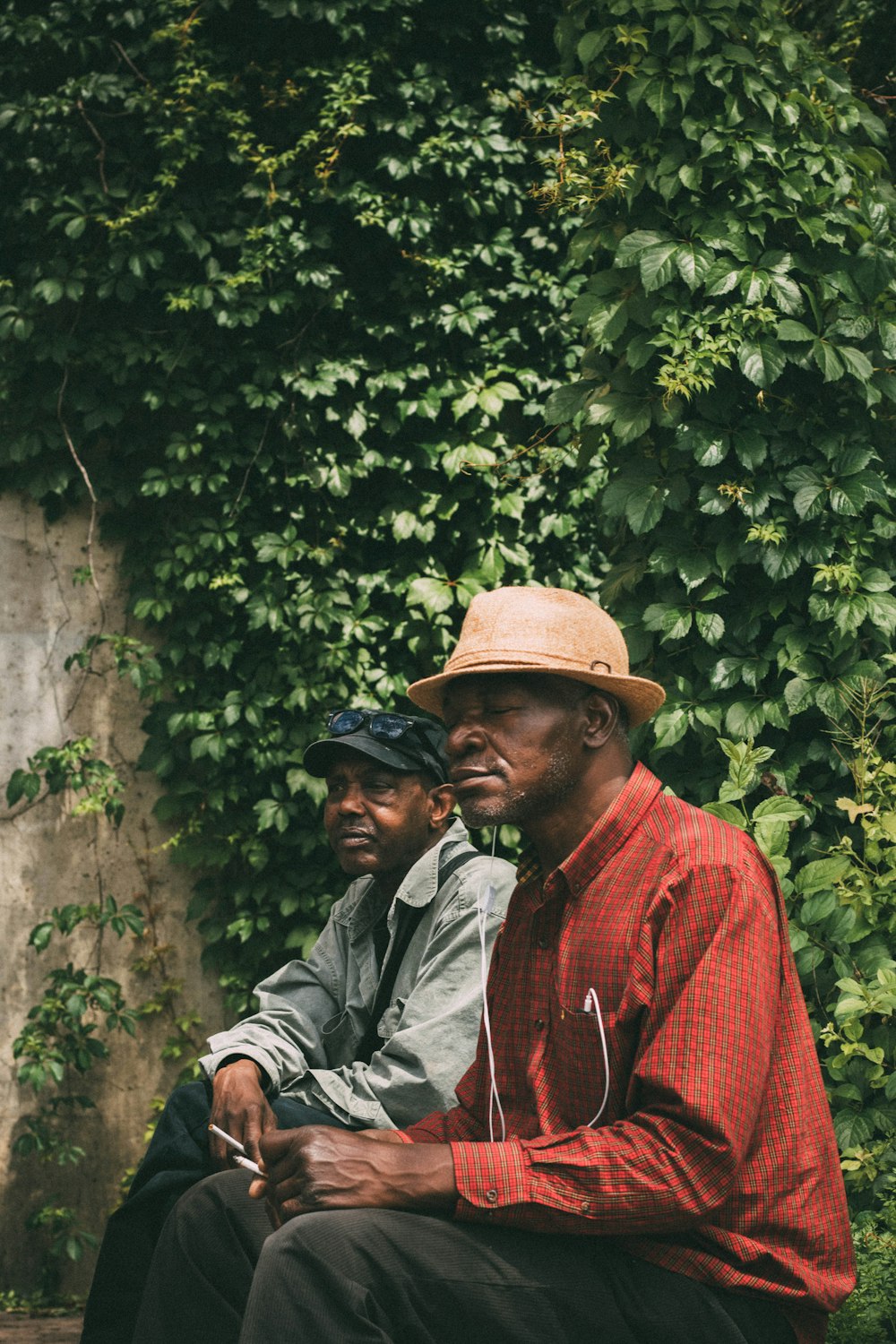 two men sitting near green ivy covered wall