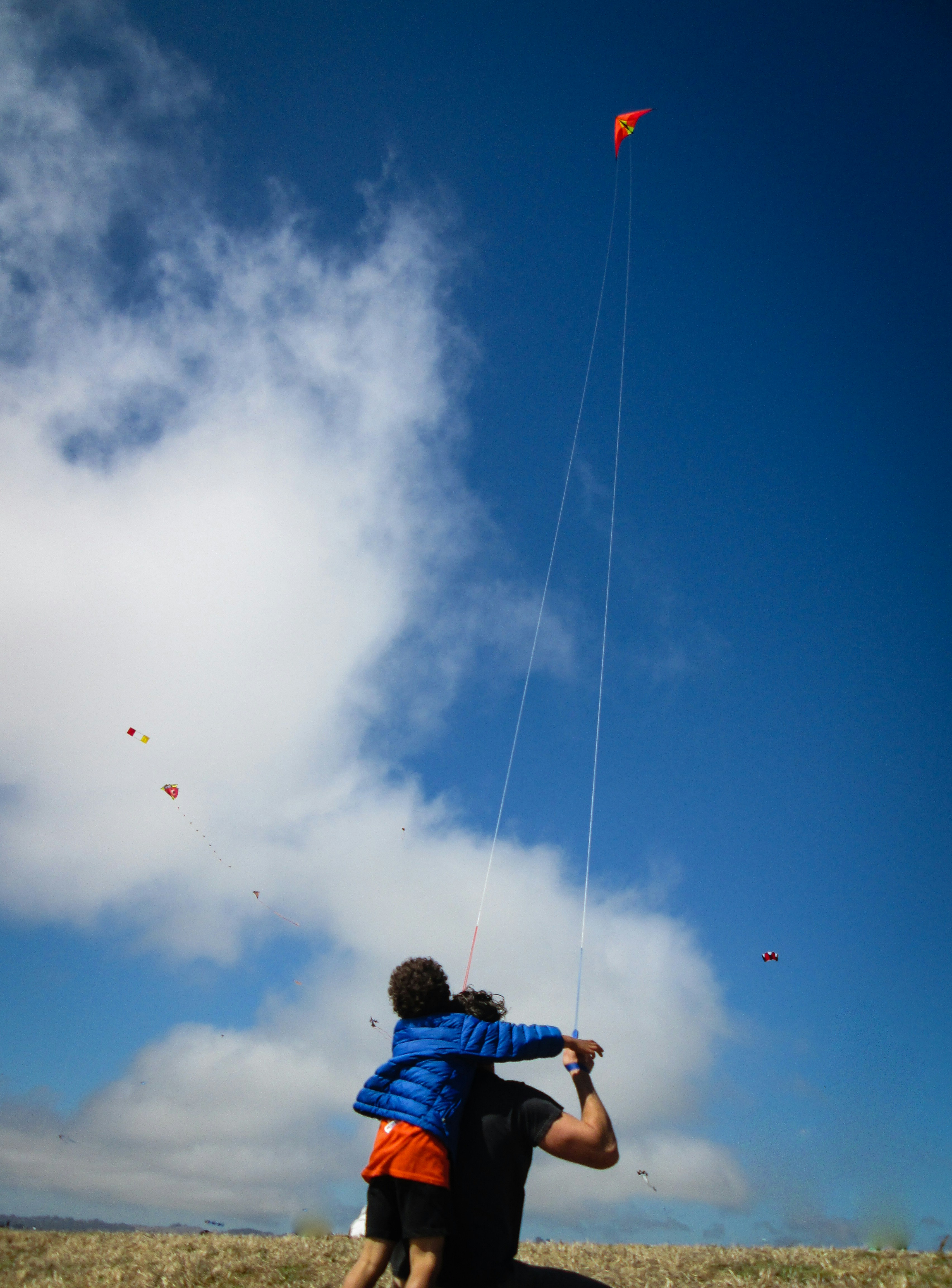 Kite Festival at Bondi Beach Draws Kite Lovers from Across Australia