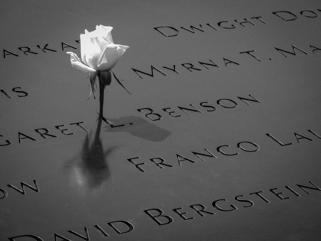 white rose,