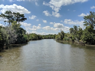 A peaceful riverside scene with reflections of lush greenery and a cloudy sky.