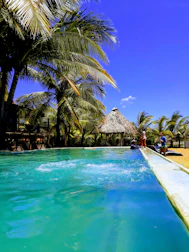 Guests relaxing by the sparkling swimming pool surrounded by tropical plants.