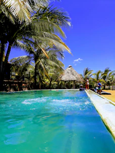 Guests relaxing by the sparkling swimming pool surrounded by tropical plants.