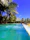 Couple relaxing by the condo pool surrounded by lush palm trees under a clear blue sky.