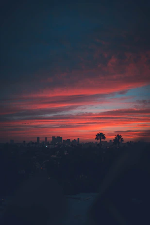 Miami skyline at sunset with vibrant green hues reflecting the brand colors.