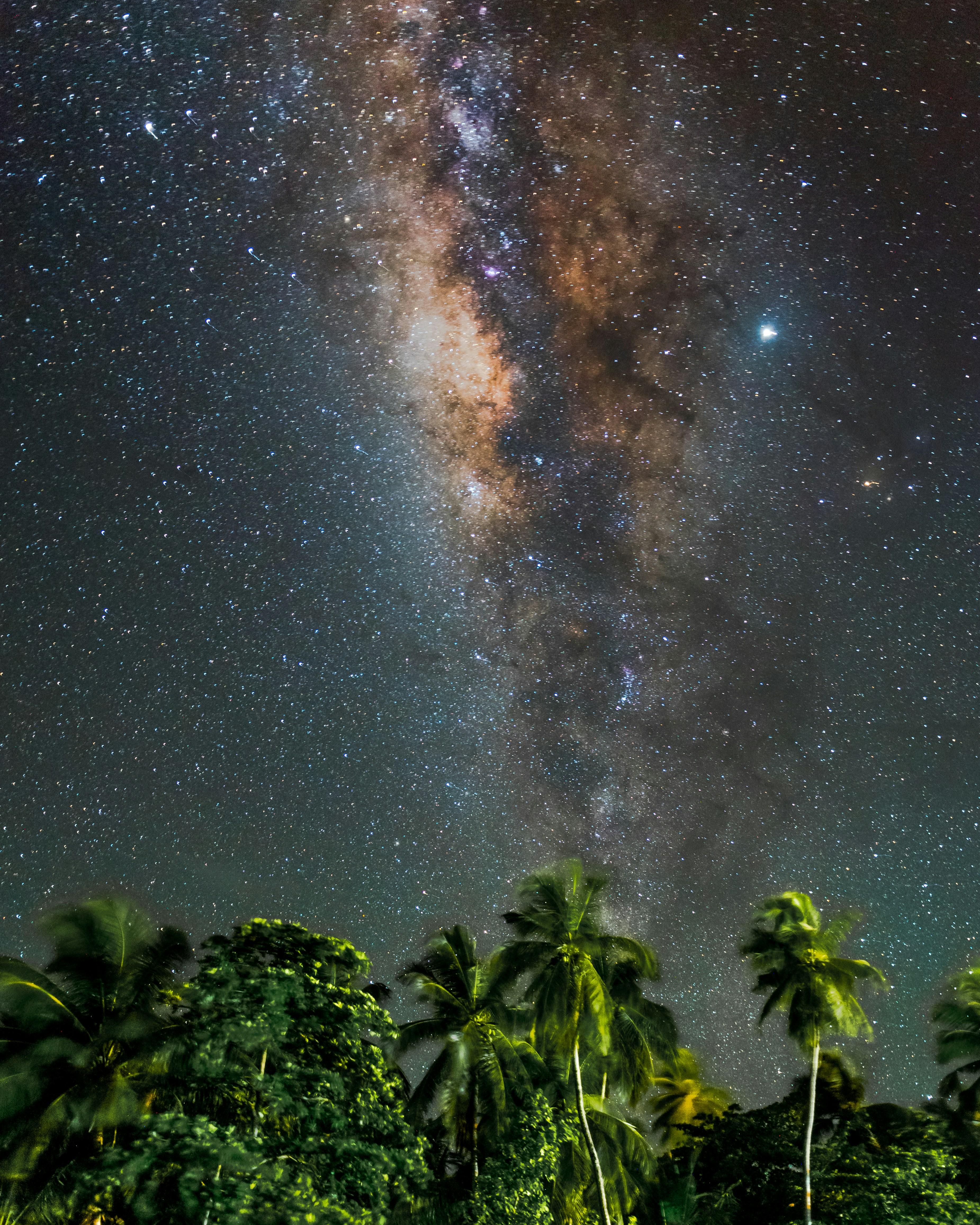 Milky Way In Night Sky Over Coconut Palm Trees Photo Free Image On Unsplash