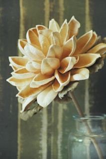 A large, intricately detailed dried flower with pale cream and light yellow petals is positioned in a glass jar. The background features vertical stripes in muted greens and browns, giving an artistic and rustic feel.