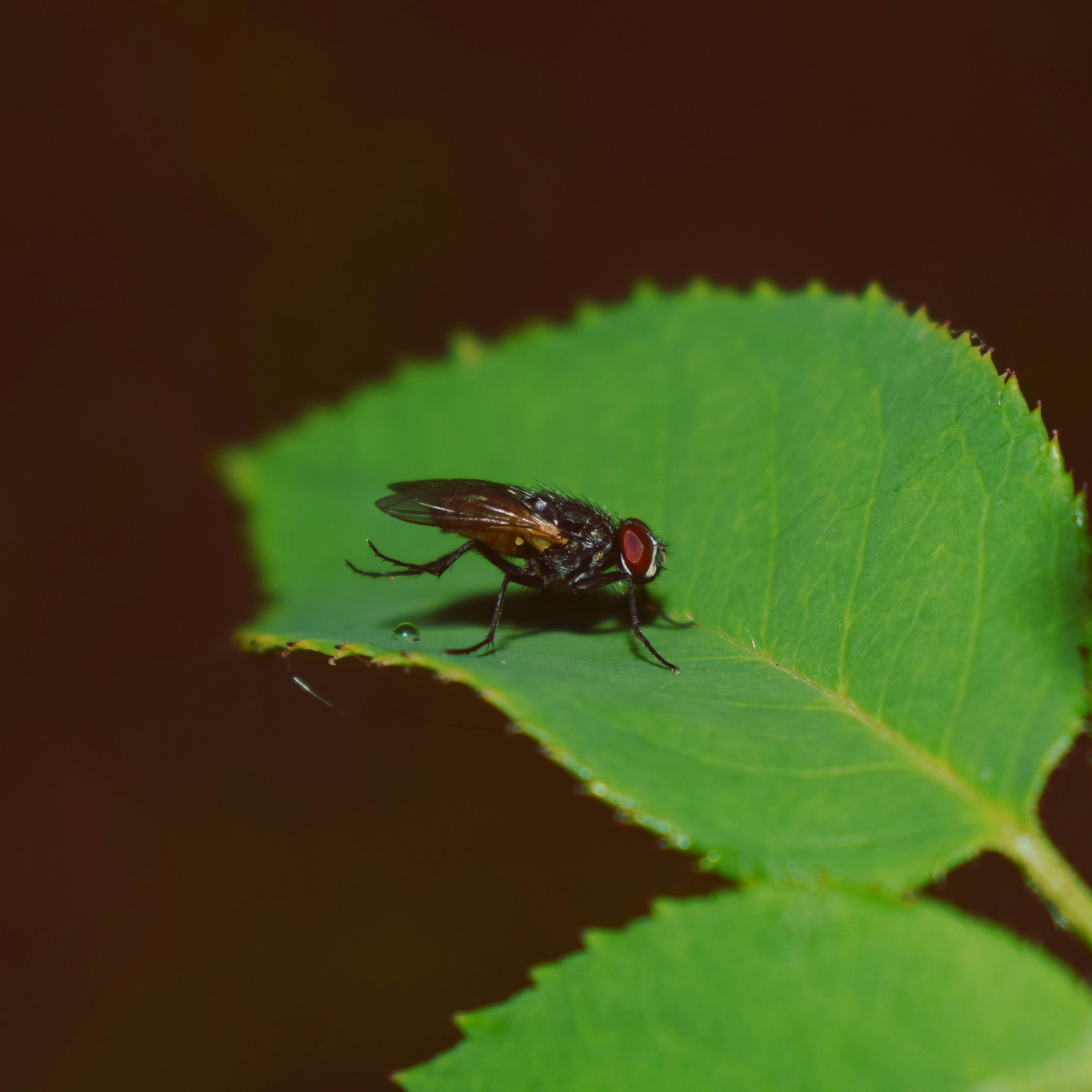 Photo by iu_unsplash