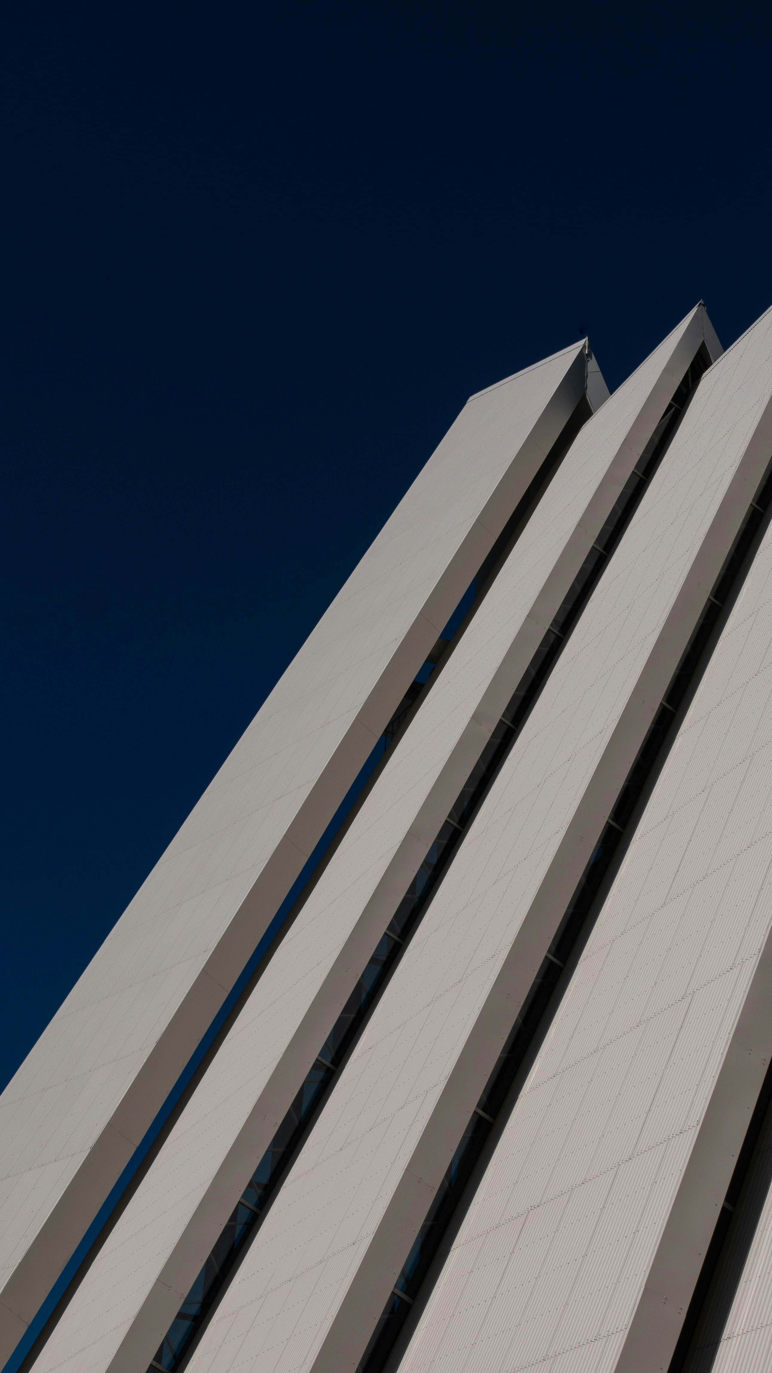 Photo by lucas_friedrich