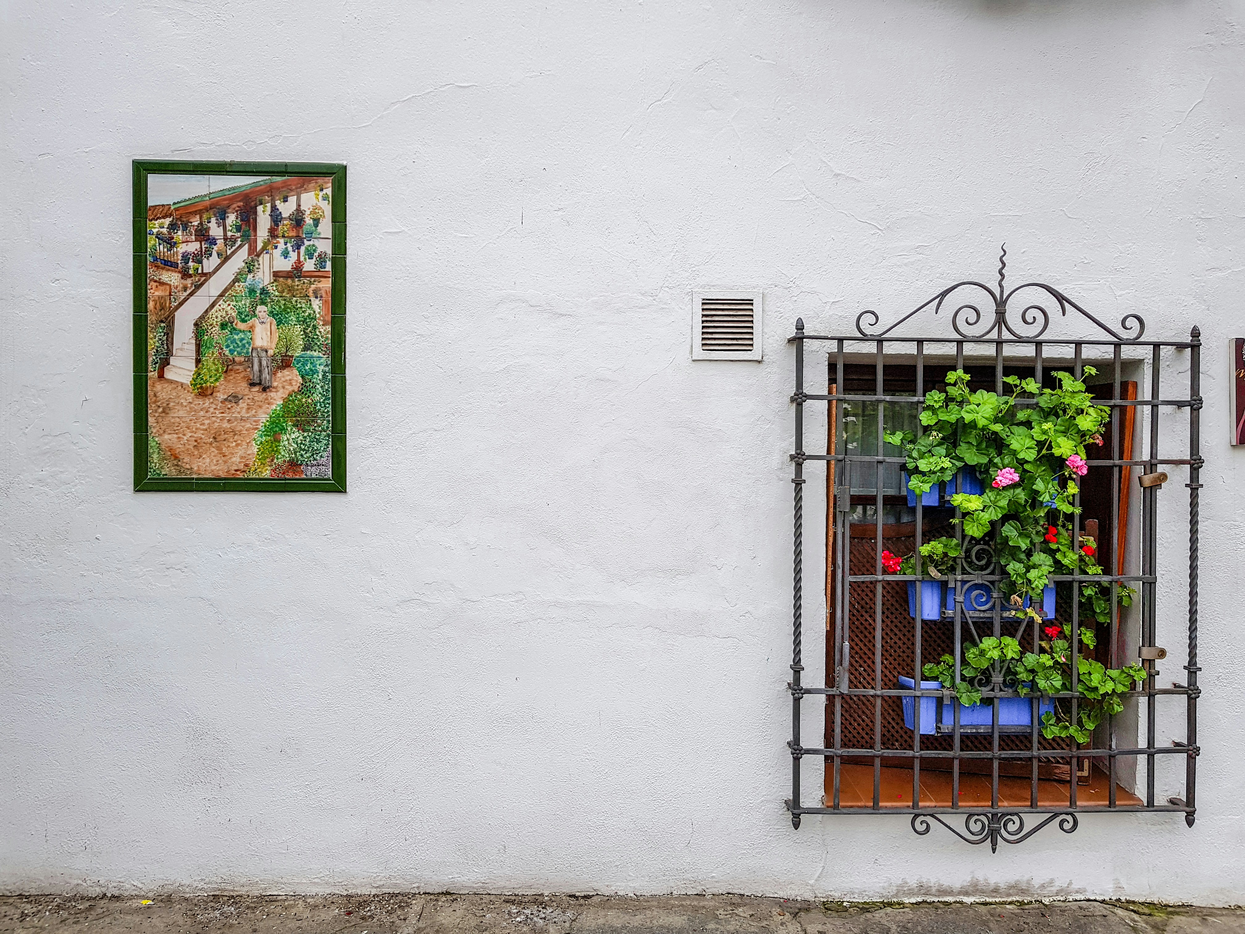 Ventana en Cordoba https://instagram.com/aminsafaripour