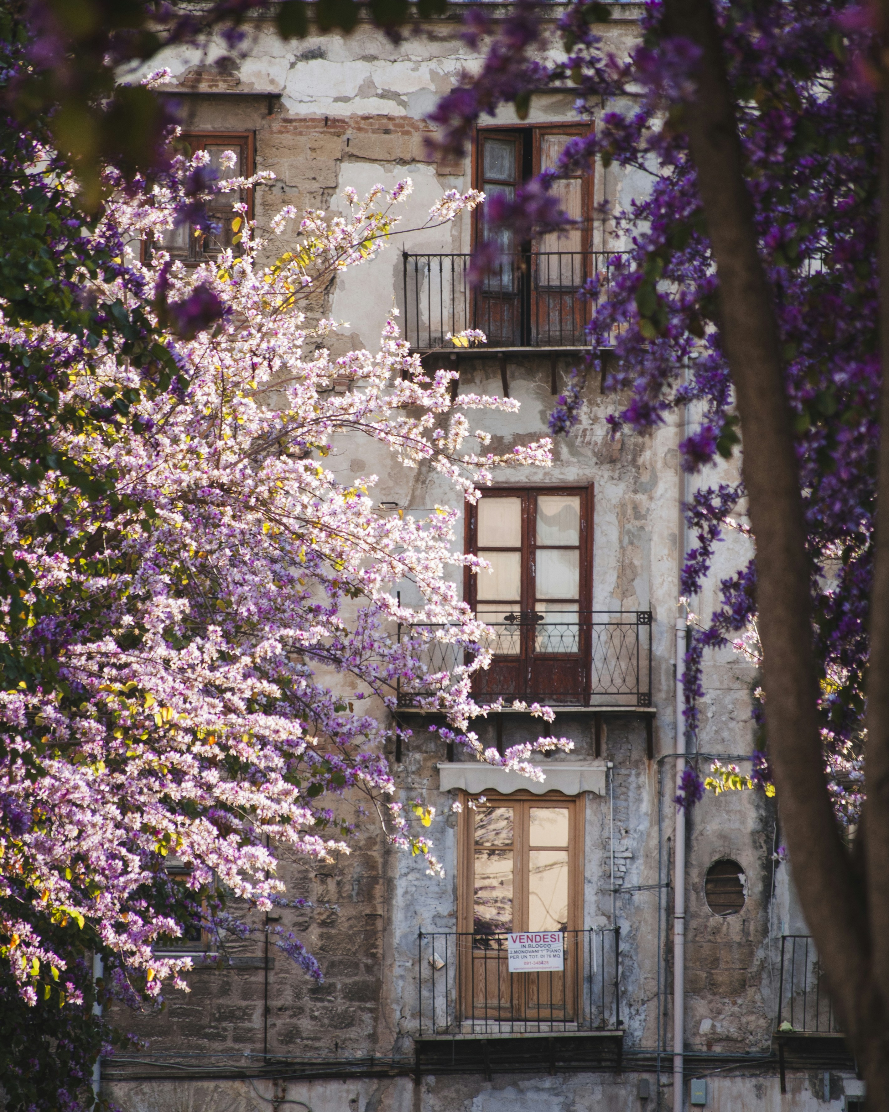 Photo by yuli_superson