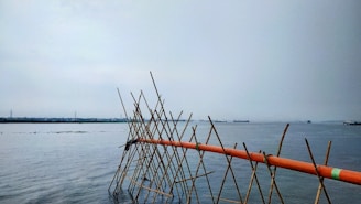 A large body of water extends into the horizon under a cloudy sky. Bamboo poles and an orange and green pipe structure are partially submerged in the water, creating a geometric pattern. Ships are visible in the distance, and the landscape features some industrial structures on the far shore.