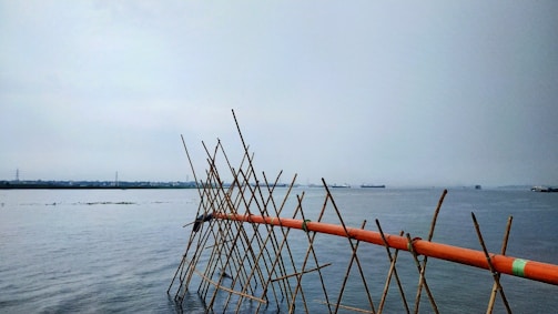 A large body of water extends into the horizon under a cloudy sky. Bamboo poles and an orange and green pipe structure are partially submerged in the water, creating a geometric pattern. Ships are visible in the distance, and the landscape features some industrial structures on the far shore.