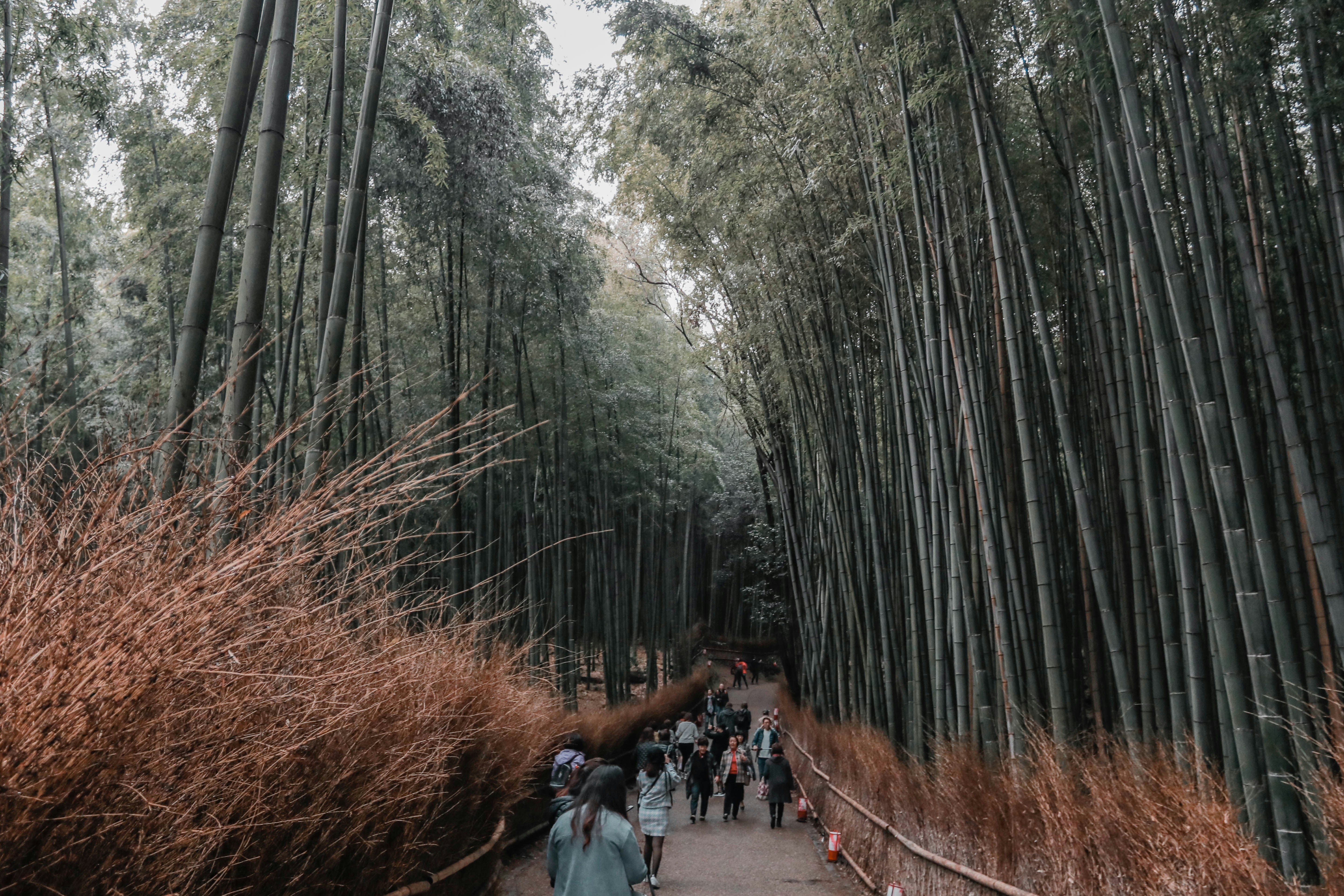 Photo by samuelsngx