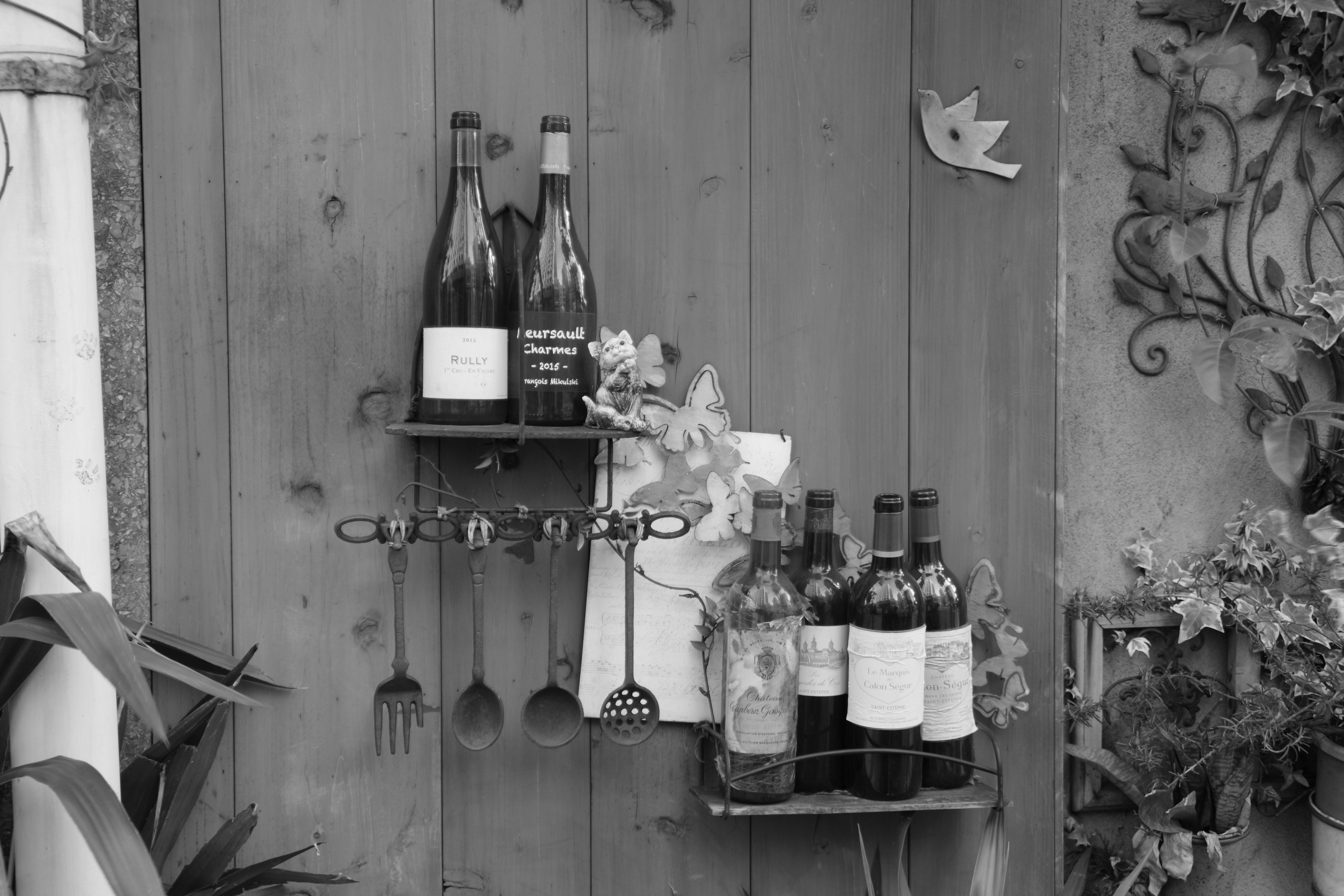 Photo by shima_giraffe