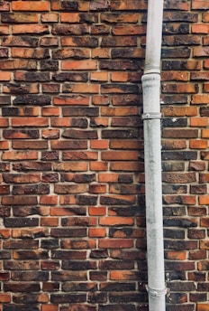 A brick wall with a mix of red and brown tones features prominently, with a grey metal downspout running vertically along the right side. The bricks have an irregular, rustic pattern and some mortar is visible between them.