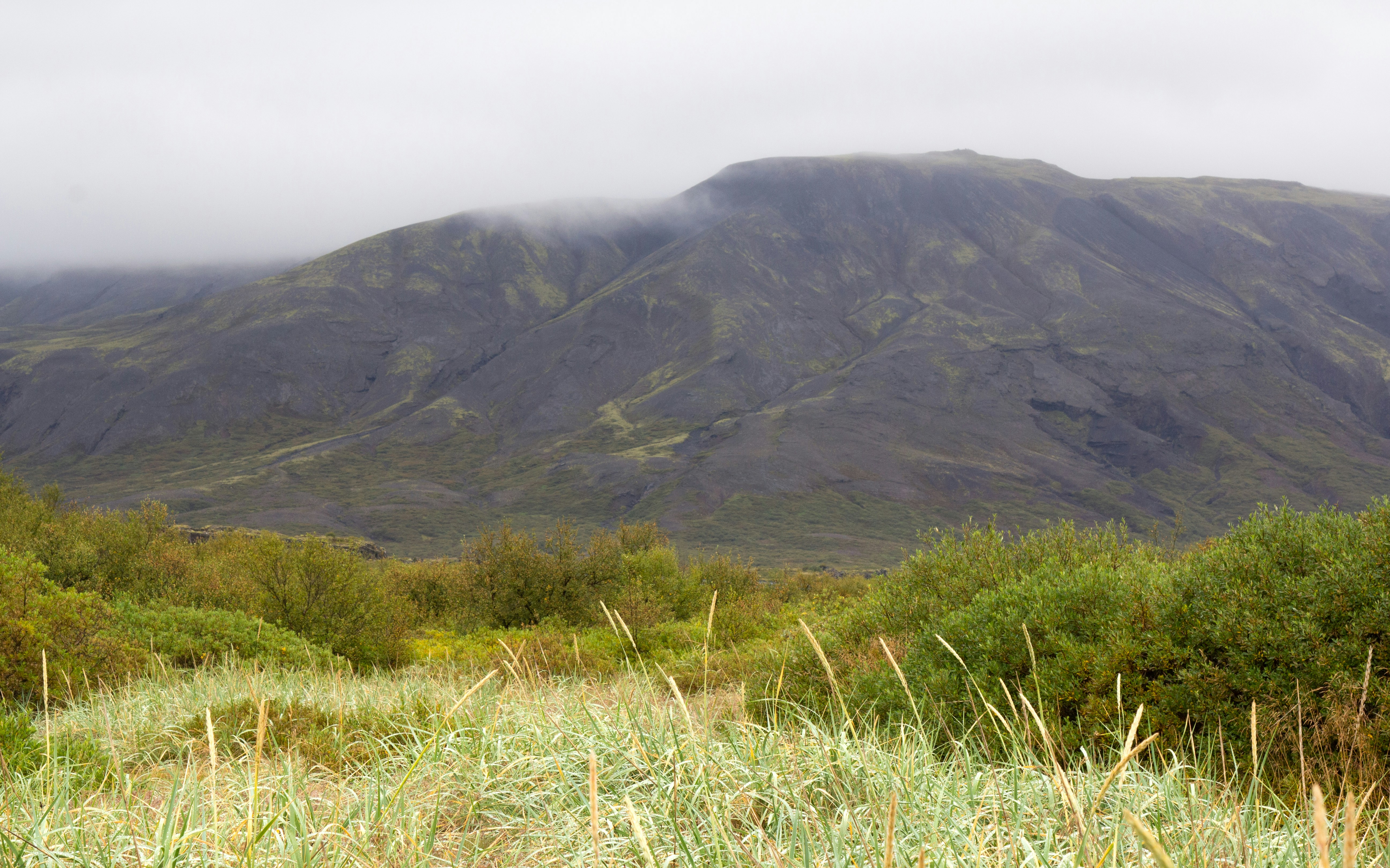 Photo by sandymoonlight