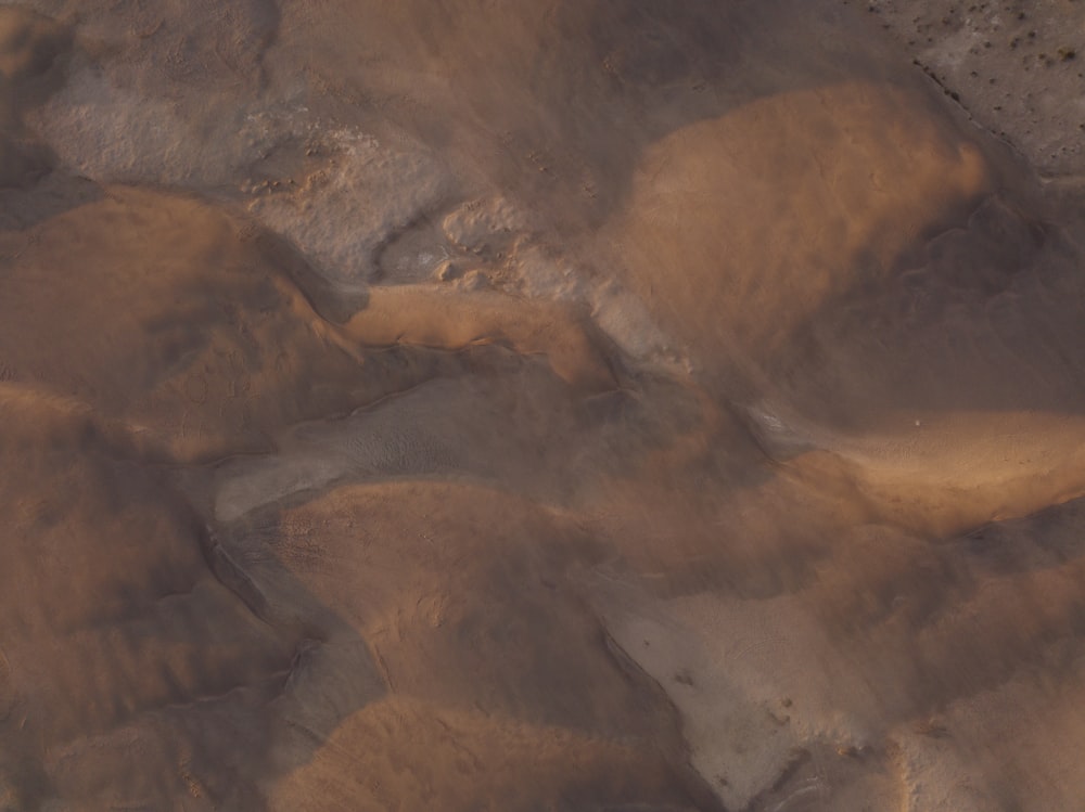 a bird is flying over a patch of dirt