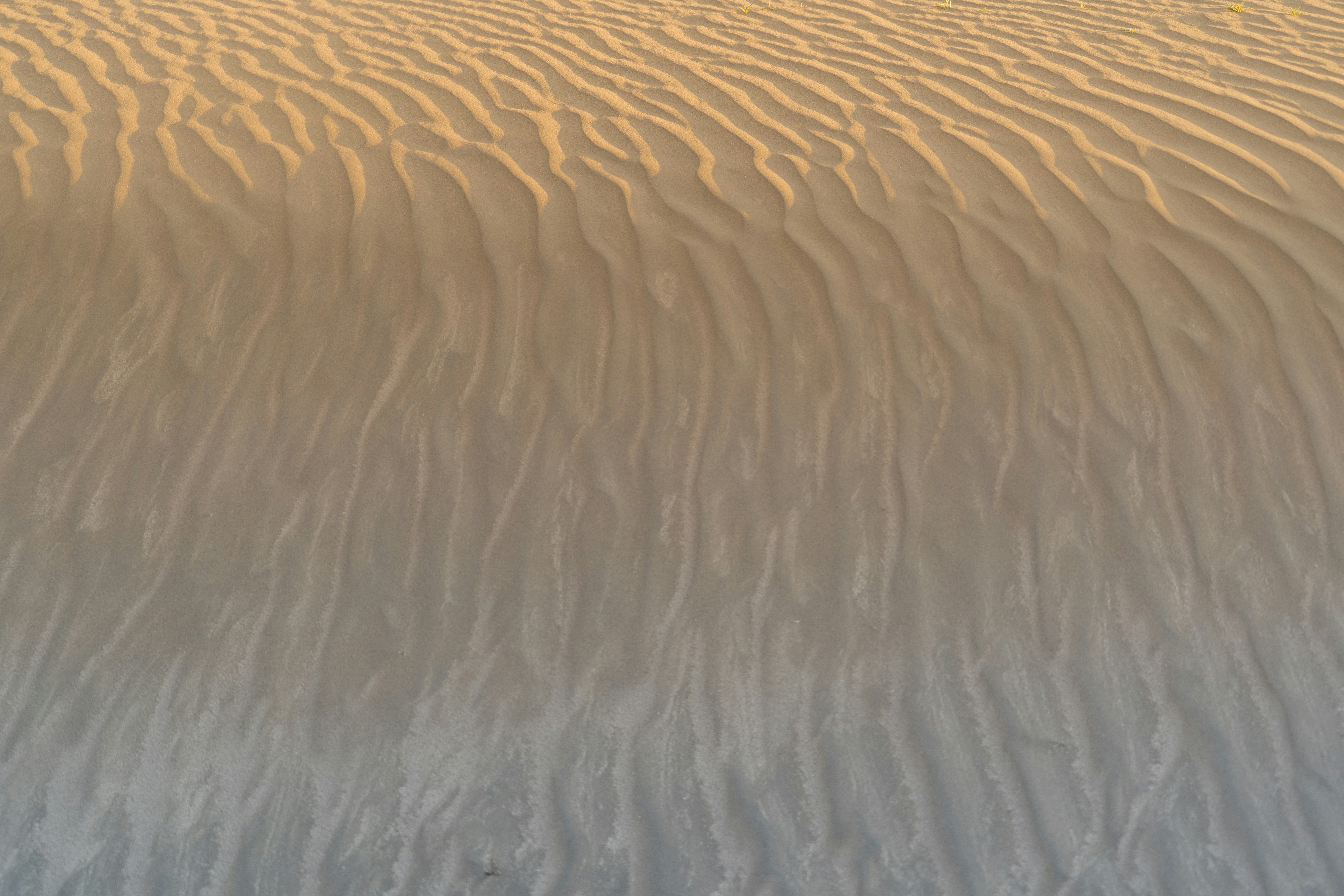 Tezos Domains header image